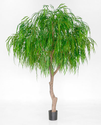 1209-270 Weepling Willow 270cm, 1209-350 Weepling Willow 350cm